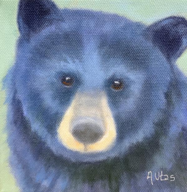 Spring Bear